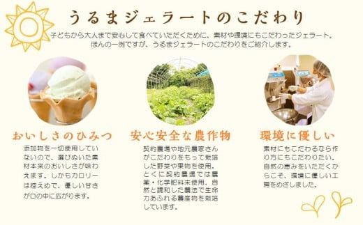 うるまジェラートギフトカード（5000円分）
