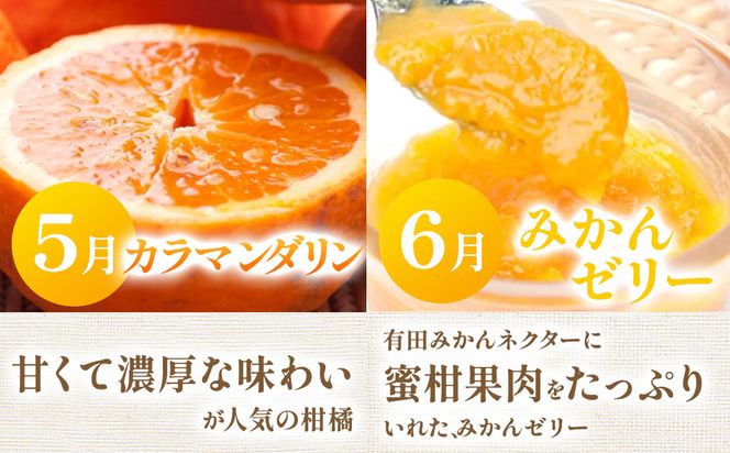 【定期便】厳選 柑橘定期便 S 3回（4～6月）※北海道・沖縄・離島への配送不可※4月・5月・6月に発送