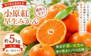 小原紅早生みかん  大玉 約5kg みかん フルーツ 果物 香川県 土庄町