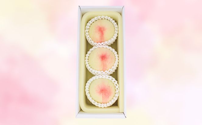 もも 2026年 先行予約 岡山白桃 ロイヤル 3玉 合計約800g  (7月上旬～7月下旬出荷予定)