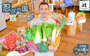 忍びの国の野菜セット（12品以上） mtur0001