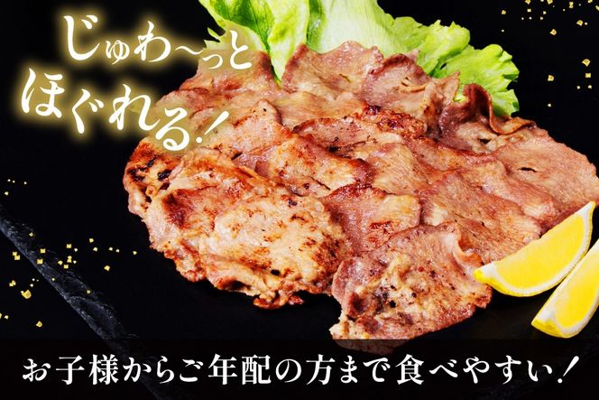 【CF02】牛タン 薄切り牛タン 塩味 1kg (500g×2) [モ～ランド 宮城県 気仙沼市 20565205] 肉 焼肉 牛肉 精肉 牛たん 牛タン塩 牛たん塩 冷凍 BBQ アウトドア バーベキュー 薄切り タン