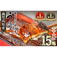 【0554327a】＜食べきりサイズ！＞東串良町のうなぎ蒲焼(無頭)(15尾・計1500g・タレ、山椒付) うなぎ 高級 ウナギ 鰻 国産 蒲焼 蒲焼き たれ 鹿児島 ふるさと 人気 【アクアおおすみ】