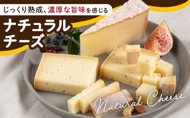糸島産 生乳 100％ 使用 手作り 熟成 チーズ 食べ比べ 5種 セット 糸島市 / 糸島ナチュラルチーズ製造所TAK-タック- チーズ詰め合わせ[AYC003]