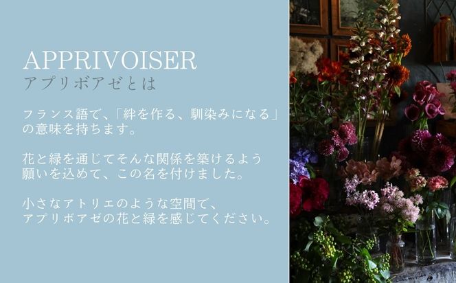 色とりどりチューリップの花束（10本） ※2027年1月～発送