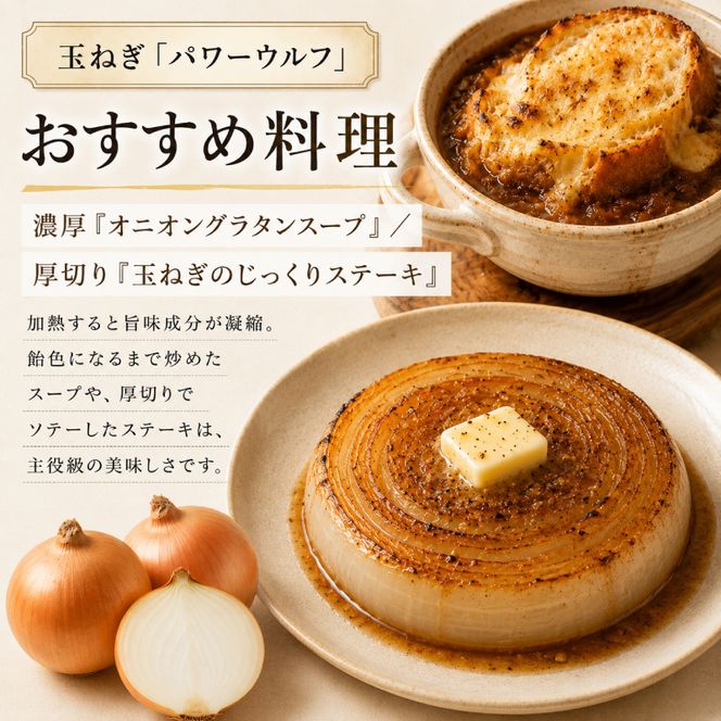 小笠原農園の有機野菜 2種詰合せ（とうや5kg・玉ねぎ4kg）北海道 十勝 幕別《2026年秋出荷先行予約》【 野菜 芋 じゃがいも とうや 玉ねぎ たまねぎ セット 】 