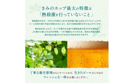 紀美野町産ホップ100%使用！ きみのホップ 24本入り / ビール 地ビール ホップ 国産 さわやか 晩酌 パーティ 飲み会 和歌山県 紀美野町【kml001】
