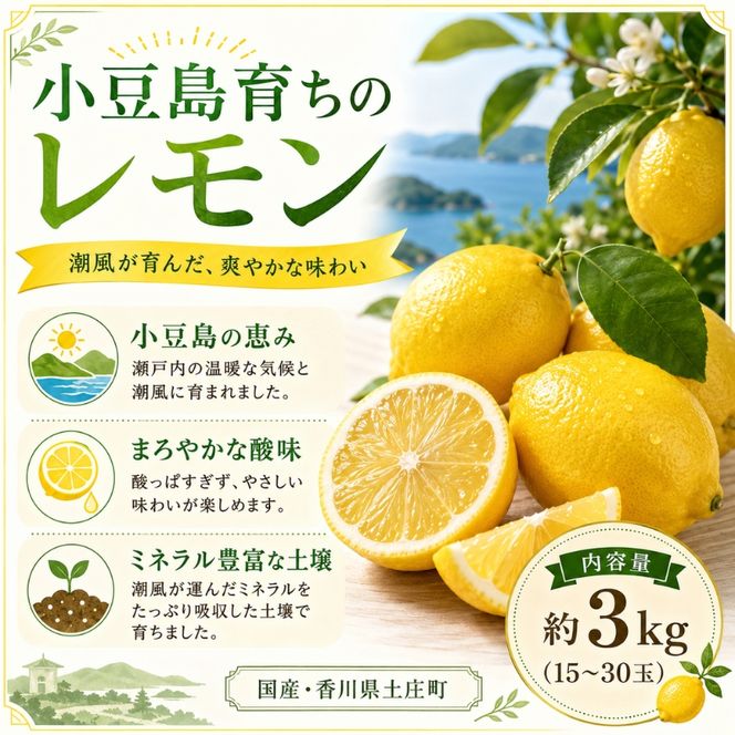 レモン 小豆島 瀬戸内 約3kg 15～30玉 小豆島育ち 島育ち まろやか 酸味 潮風 ミネラル 国産レモン 檸檬 柑橘 柑橘類 果物 フルーツ くだもの 果物類 果実 生鮮 レモネード レモンティー はちみつレモン ギフト 贈答用 五色青果 香川 土庄 香川県 土庄町