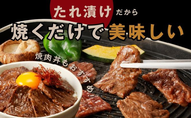005A760 【お試し】牛ハラミ肉 500g 薄切り スライス 小分け 訳あり サイズ不揃い 秘伝の赤タレ漬け 焼肉 牛肉