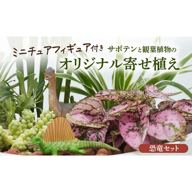 サボテンと観葉植物のオリジナル寄せ植え【恐竜セット】［133O05］