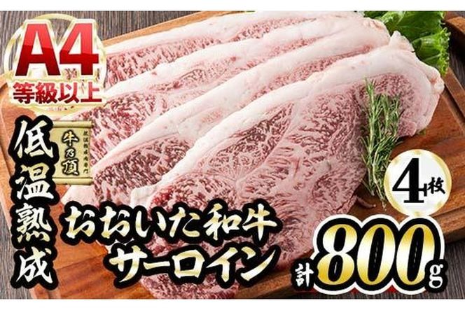 y啪sza T[CXe[L (v800gET[CXe[L200g×4+Xe[L\[X20g×4) Y   ~ ቷn Xe[L A4 a uh BBQ Ⓚ 啪 syDH63zy()lNTz