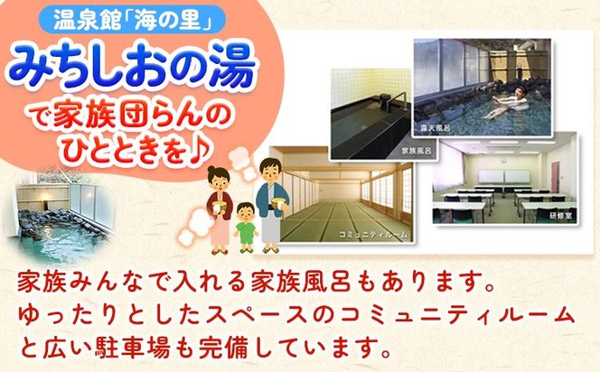 【温泉館「海の里」みちしおの湯】利用券 12枚組 日高町役場《30日以内に出荷予定(土日祝除く)》和歌山県 日高町 温泉 チケット 天然温泉 家族温泉 露天風呂---iwsh_hdyumimy_30d_23_20000_12p---