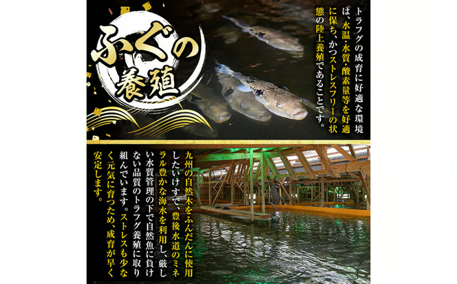 ＜訳あり＞ 生簀直送 とらふぐ 刺し身 セット (刺し身×3皿・ヒレ×10g) 魚 ふぐ 河豚 刺身 さしみ 小分け 冷凍 瞬間凍結 佐伯 養殖 国産 【EA34】【トーワ】