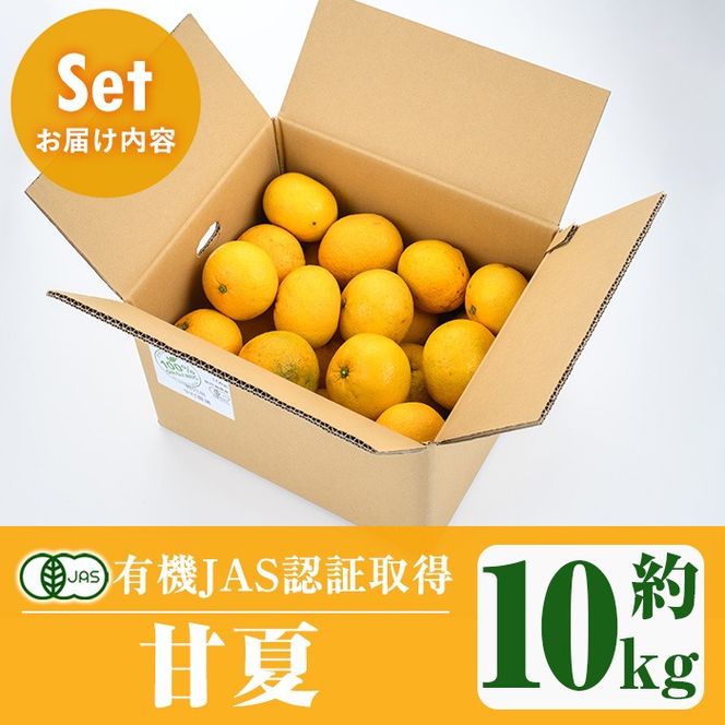 ＜先行予約受付中！2026年2月上旬以降発送予定＞数量限定！有機JAS 甘夏(約10kg) 国産 果実 果物 フルーツ 柑橘 デザート 期間限定 有機栽培【中村農場】akn084-05