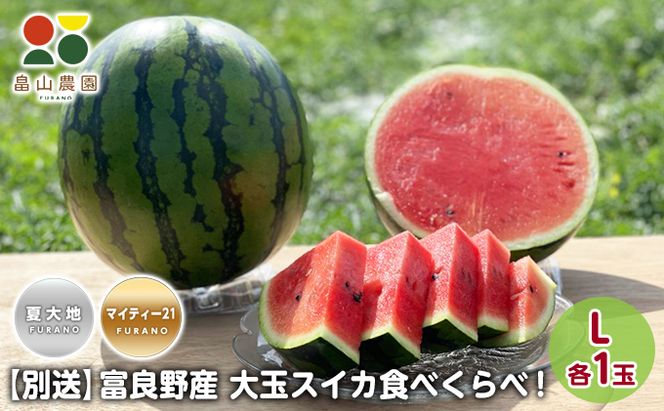 先行予約【食べ比べ】 2026年夏発送 富良野産 大玉 スイカ L 各1玉(夏大地・マイティ21) 北海道 ふらの すいか 西瓜 夏 フルーツ ふらの 甘い 糖度 大きい 大だま セット 別送  (畠山農園）