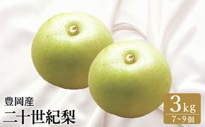 二十世紀梨 3kg（7～9個） / 梨 産地直送 みずみずしい シャリシャリ 食感 さっぱり バランスの良い 酸味 甘味 減農薬 なし ナシ 果物 くだもの フルーツ ふくい農園