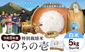 令和8年産 特別栽培米 いのちの壱 白米 5kg 雑穀米付き 虹色のかば《30日以内に出荷予定(土日祝除く)》熊本県 南阿蘇村 熊本県産 お米 こめ コメ 米 精米---sms_inci6_30d_r8_15500_h5kg---