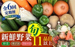 【6回定期便 偶数月コース】野菜 キノコ 果物 11品目 詰め合わせ  当日仕入れ当日発送！ / 南島原市 / 吉岡青果 [SCZ006]