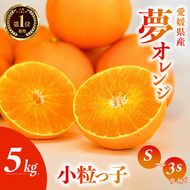 【先行予約】訳あり みかん職人の夢おれんじ 小粒っ子 5kg オレンジ みかん 柑橘 果物 フルーツ 愛媛 みかん職人武田屋 蜜柑 愛果28号 愛媛果試第28号 まどんな 小玉 蜜柑 甘い 甘さ みかん かんきつ らんきんぐ 柑橘 冬 旬 食べごろ 農家 農家直送 農園 人気 みかん職人 武田屋 産直 みかん職人武田屋 愛媛県