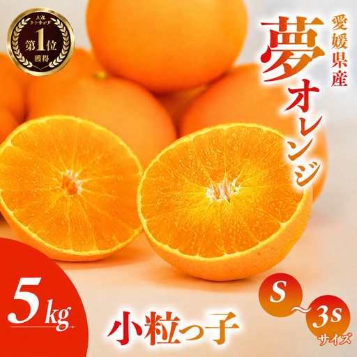 【先行予約】訳あり みかん職人の夢おれんじ 小粒っ子 5kg オレンジ みかん 柑橘 果物 フルーツ 愛媛 みかん職人武田屋 蜜柑 愛果28号 愛媛果試第28号 まどんな 小玉 蜜柑 甘い 甘さ みかん かんきつ らんきんぐ 柑橘 冬 旬 食べごろ 農家 農家直送 農園 人気 みかん職人 武田屋 産直 みかん職人武田屋 愛媛県