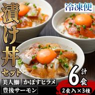 ＜先行予約受付中！2024年11月下旬より順次発送予定＞海鮮漬け丼の素 (計6食) 鰤 ブリ ぶり ヒラメ サーモン 鮮魚 漬け丼 冷凍 養殖 国産 大分県 佐伯市【GO011】【(株)水元】