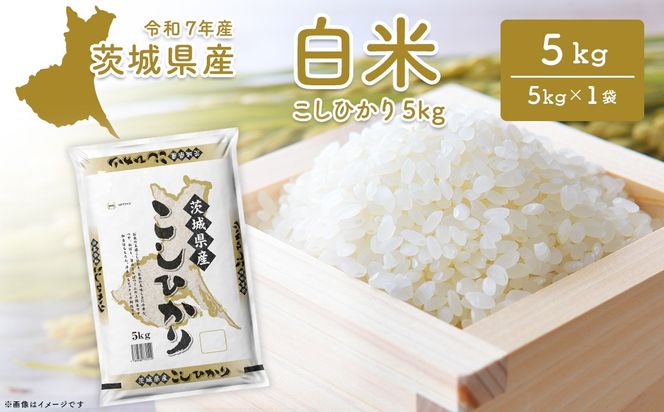 期間限定!! 【最短2日後～7日以内発送】【令和7年産/白米】 こしひかり 5kg 茨城県産 米 小分け 2025年産 K2670