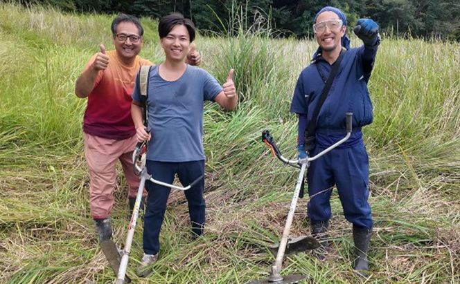 野生の目覚め～焙煎ムクナ豆パウダー～
