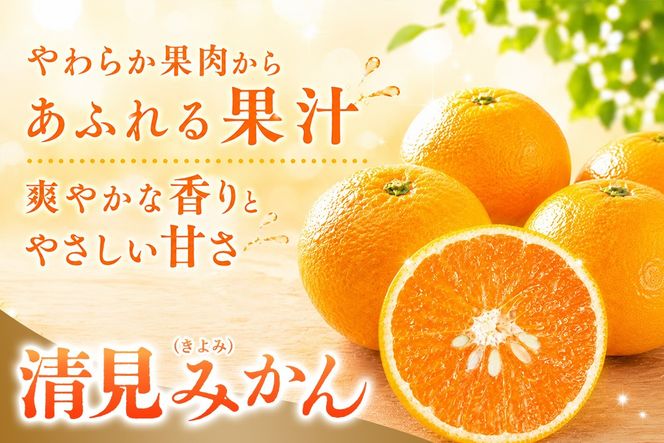 【2027年3月中旬より発送開始】清見(きよみ)みかん 8kg～10kg【みかん オレンジ 柑橘 フルーツ デザート】(H116139)