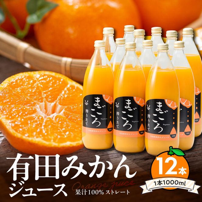 【まごころ】有田みかんジュース100％ 1000ml×12本_ZE6184