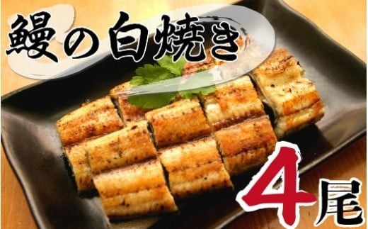 y{茧szkV̔ĂiSj N010-YB718