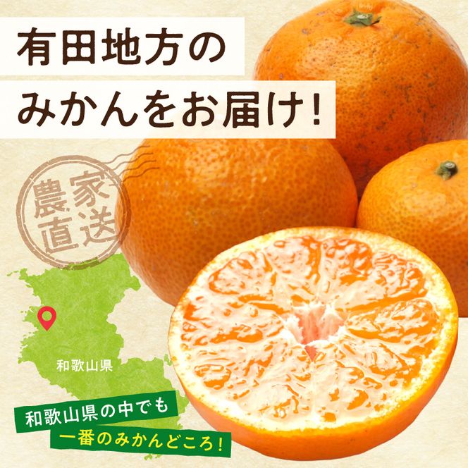 《2026年11月上旬～2027年1月下旬頃に順次発送》【2026年先行予約】家庭用 完熟有田みかん約5kg+250g（傷み補償分）【わけあり・訳あり】【光センサー選果】_ZH7128
