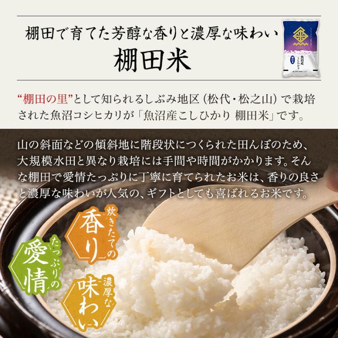 【令和7年産米】魚沼産こしひかり 棚田米(十日町地域) 精米 5kg 8月配送 お米 精米 こめ ご飯 白米 旧：五郎兵衛