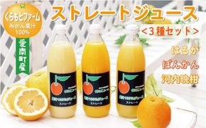 みかん 果汁 100% ストレート ジュース 3本 セット （ 1000ml × 3本 ） ぽんかん はるか 河内晩柑 愛南ゴールド 10000円 1万円 数量限定 期間限定 高級 贈答 ギフト プレゼント 母の日 敬老の日 おやつ 国産 フルーツ 果物 柑橘 産地直送 農家直送 特産品 完熟 濃厚 人気 限定 甘い こどもの日 ジューシー 新鮮 果実 さわやか 愛媛県 愛南町  くらもとファーム