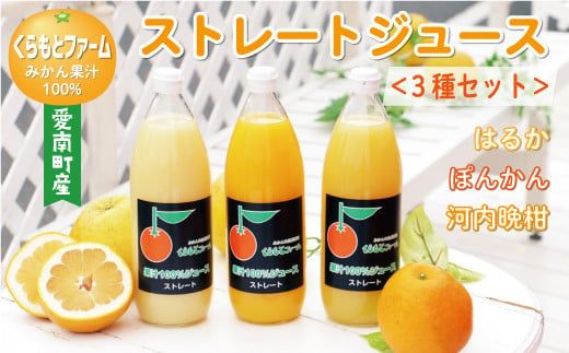 みかん 果汁 100% ストレート ジュース 3本 セット （ 1000ml × 3本 ） ぽんかん はるか 河内晩柑 愛南ゴールド 10000円 1万円 数量限定 期間限定 高級 贈答 ギフト プレゼント 母の日 敬老の日 おやつ 国産 フルーツ 果物 柑橘 産地直送 農家直送 特産品 完熟 濃厚 人気 限定 甘い こどもの日 ジューシー 新鮮 果実 さわやか 愛媛県 愛南町  くらもとファーム