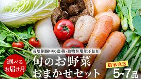  ＼ 選べるお届け月／  農家直送 旬のお野菜 おまかせセット  野菜セット 野菜 旬 詰め合わせ やさい おまかせ 自然 春野菜 夏野菜 セット 季節 新鮮 旬 農家直送