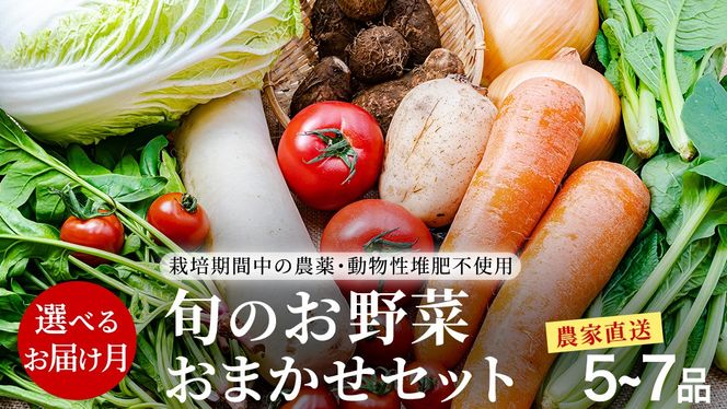  ＼ 選べるお届け月／  農家直送 旬のお野菜 おまかせセット  野菜セット 野菜 旬 詰め合わせ やさい おまかせ 自然 春野菜 夏野菜 セット 季節 新鮮 旬 農家直送