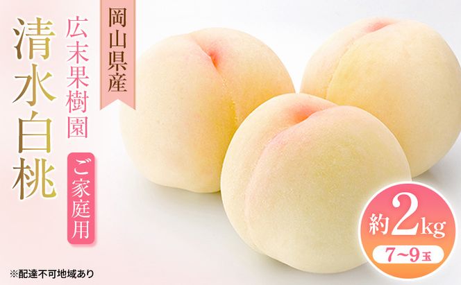 【2026年先行予約】 桃 岡山県産 ご家庭用 清水 白桃 約2kg（7～9玉）《2026年7月中旬-8月上旬頃出荷》 白桃 岡山 はくとう スイーツ フルーツ 果物 先行予約 数量限定 期間限定 岡山 里庄町 モモ もも 桃