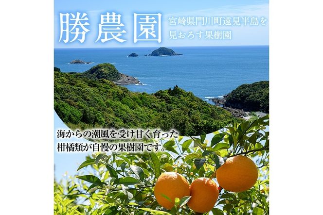 ＜先行予約受付中！2026年2月以降順次発送予定＞宮崎県門川町産きんかん(約1.5kg)金柑 キンカン 柑橘 フルーツ 果物 国産 冷蔵【AE-11】【勝農園】