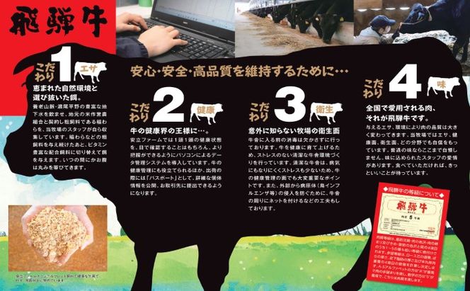 【飛騨牛】海津市産ロース焼肉オリジナルカット 【配達不可：離島】 お肉 牛肉 焼肉用 バーベキュー ロース肉 ブランド牛 国産 岐阜県産 柔らかい肉質 サシ 霜降り とろける 