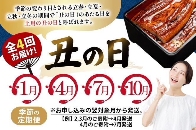 うなぎ 国産 日向うなぎ 蒲焼 中 4尾 計500g以上 4回 丑の日 定期便 [日向サンパーク 宮崎県 日向市 452061711] ギフト 小分け 真空パック 鰻 ウナギ うなぎの蒲焼 蒲焼 蒲焼き