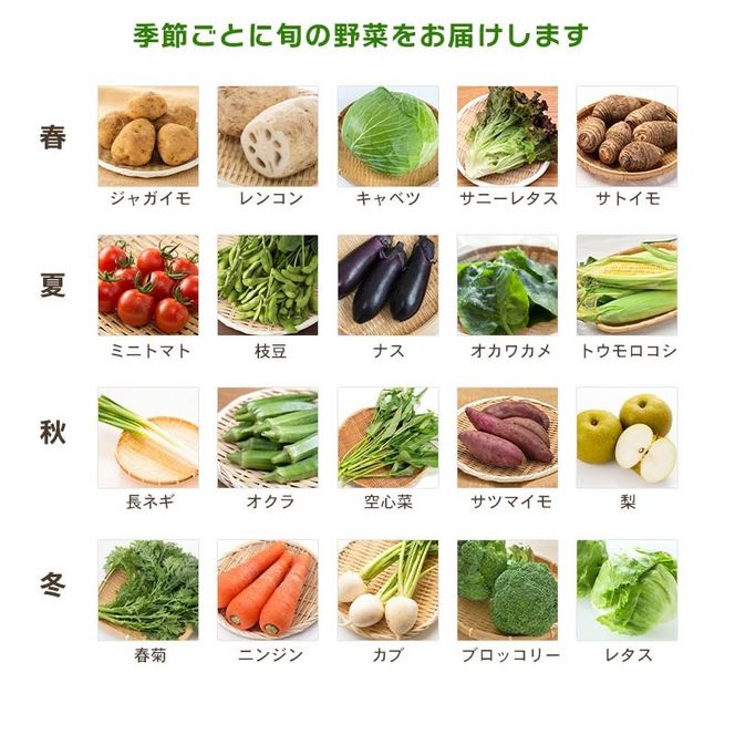 野菜 詰め合わせ 産地 直送 6 ~ 8種 減農薬 栽培 旬 採れたて やさい お試し 一人暮らし ふたり人暮し 健康 食材 ハーフセット 静岡県 藤枝市