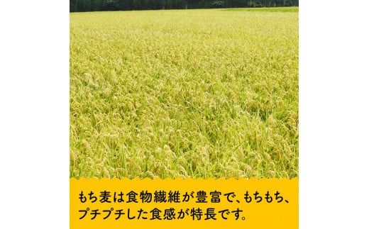 令和7年産　宮崎県産　お米5kg(夏の笑み)&もち麦500g×2袋 【 宮崎県産 米 こめ 精米 おにぎり もち麦 穀物 】☆[C05402]