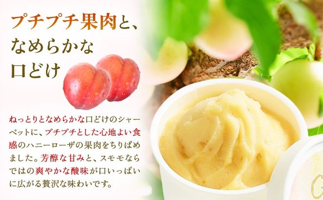 ハニーローザシャーベット 選べる内容量 6個 8個 12個 ぷらっとぎょくとう《60日以内に出荷予定(土日祝除く)》 熊本県 玉名郡 玉東町 スモモ すもも 果物 デザート スイーツ フルーツ 旬 シャーベット アイス セット 冷菓 冷凍 果肉入り ご当地シャーベット おやつ---gkt_prt_15_6k_a---