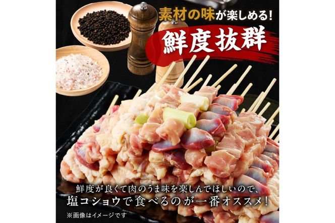 たっぷり60本 国産焼き鳥セット 5種盛り合わせ60本 焼鳥 たっぷり60本 国産焼き鳥セット 5種盛り合わせ60本 焼鳥