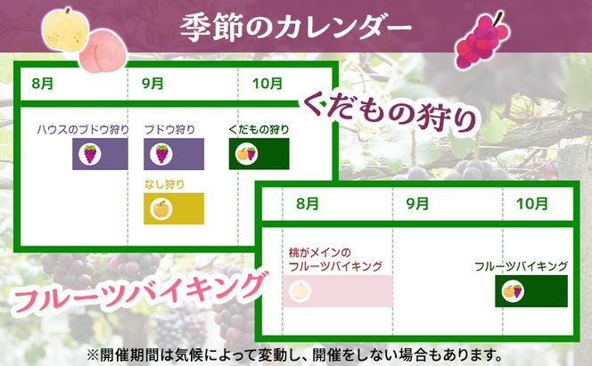 フルーツ 季節の果物狩り 収穫体験 選べる チケット 2名様分 フルーツ狩り シャインマスカット ぶどう 梨 桃 藤原園芸 岡山県 赤磐市