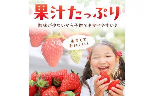 【先行予約／数量限定200】京都・まつみやファームのいちご（あきひめイチゴ）4パック（2026年3月中旬～発送）　DE00138