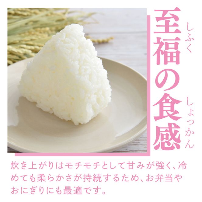 【3ヶ月定期便】【無農薬米日本一コンテスト2年連続金賞】立神米 無農薬 こしひかり（白米）定期便 5kg 3回お届け【谷田部農産】｜茨城県 大子町 コシヒカリ 米 無農薬 コンテスト 受賞 生産者 大子産米 産地直送 令和7年産（BT083）