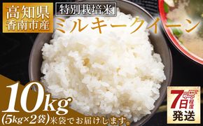 【順次発送】特別栽培米 ミルキークイーン 10kg 高知県香南市産 sr-0008