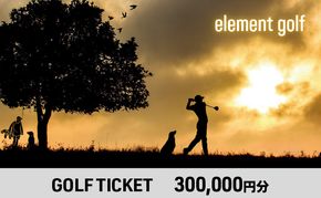 【300,000円分】 elementgolf ゴルフチケット (ゴルフクラブ作成、修理・調整、フィッティング) エレメントゴルフ × 名古屋外国語大学コラボデザインチケット ゴルフ ゴルフクラブ 愛知 日進市