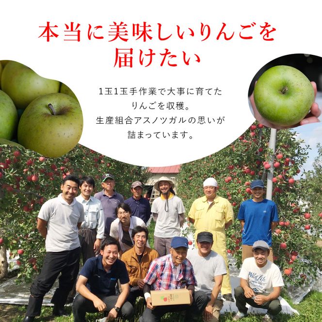 りんご【1～2月発送】糖度13度以上 ぐんま名月 おもてなし品  約5kg【青森りんご】